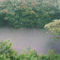 アフリカのある部族が雨乞いをすると必ず雨が降るのですが、それはなぜ？