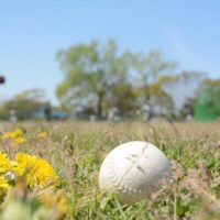 生まれて初めて野球のスコアブックをつける