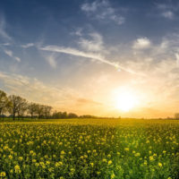 新しい年度、何をどうしようか