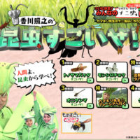 愛してやまないものがあるのは本当に幸せです