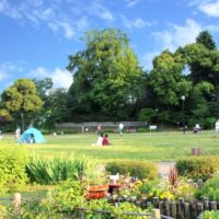 こどもの日ってどんな休日？