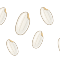 お米は虫を発生させるべからず